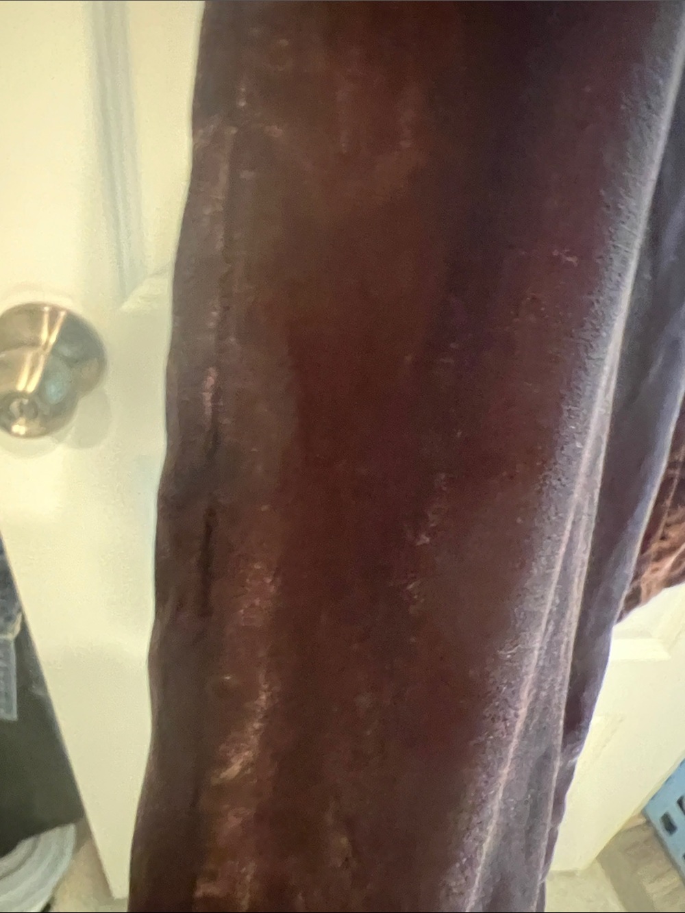 a new day Dark Brown Velvet Wide-Leg Trousers - Picture 6 of 12